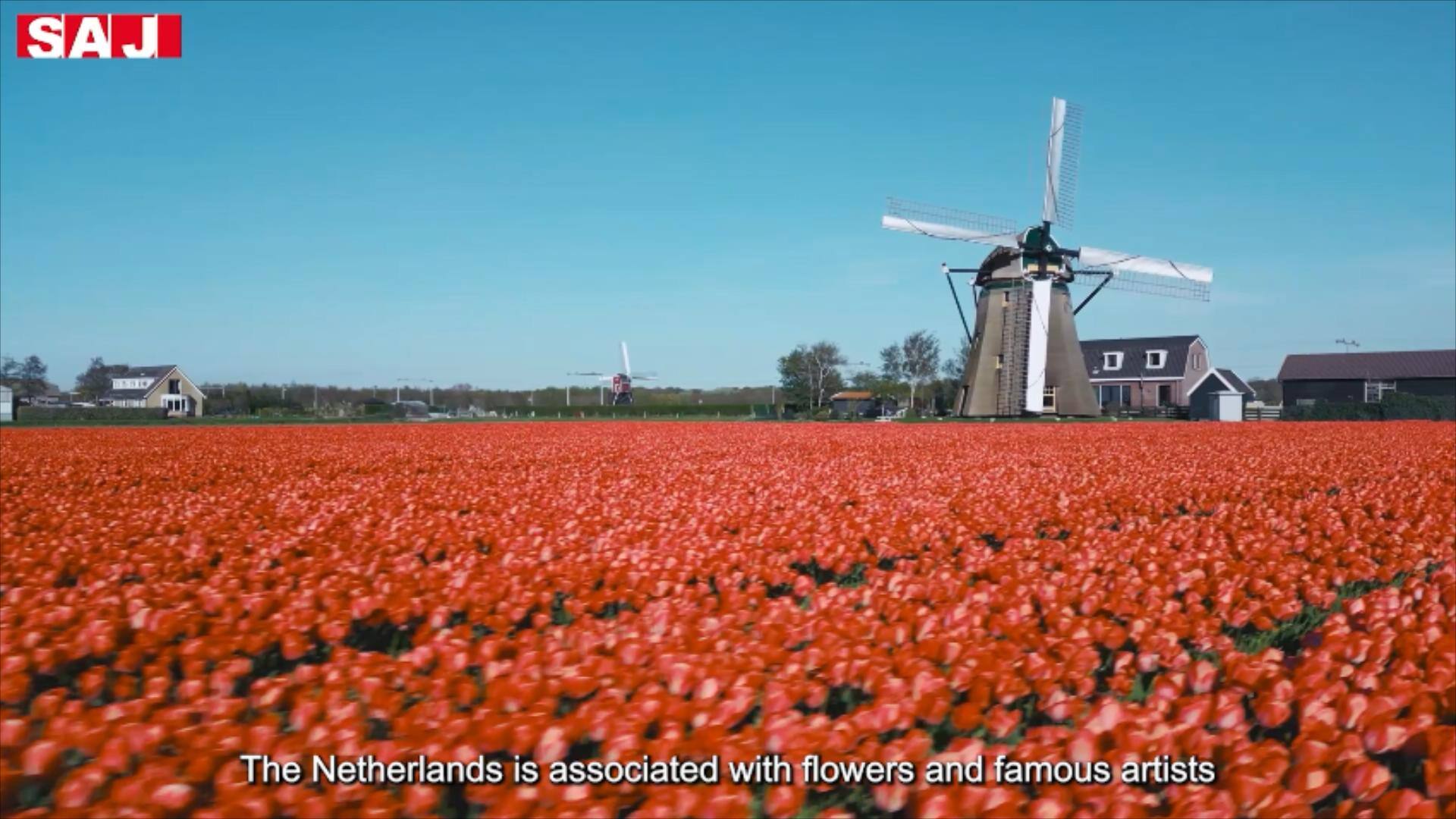 Revolutionera energilagringslösningar med SAJ: Kundberättelse i Nederländerna