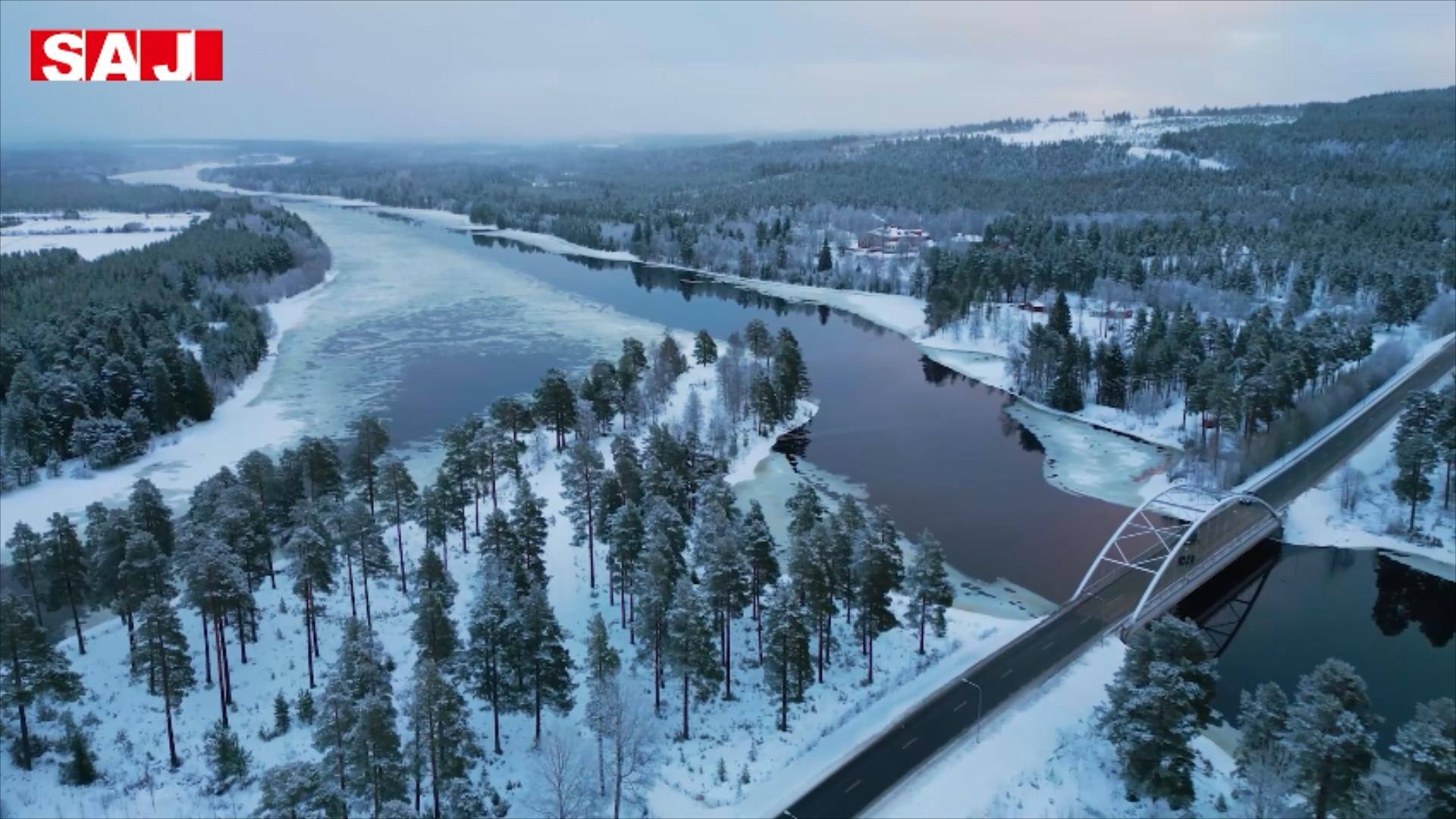 SAJ:s vackra och fantastiska fallreferens i Sverige - 2023 - EN